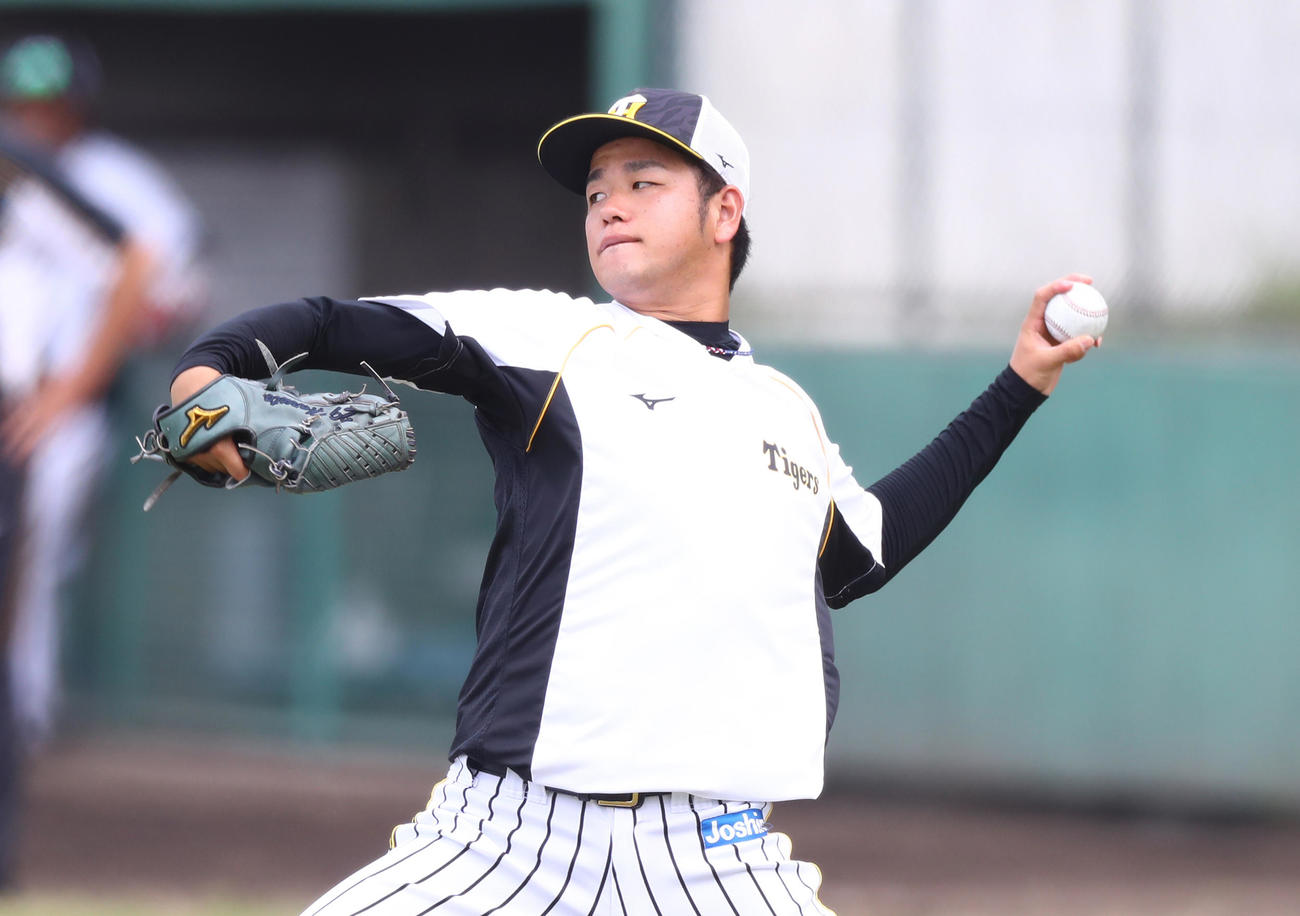 キャッチボールで調整する阪神・高橋遥人（代表撮影）