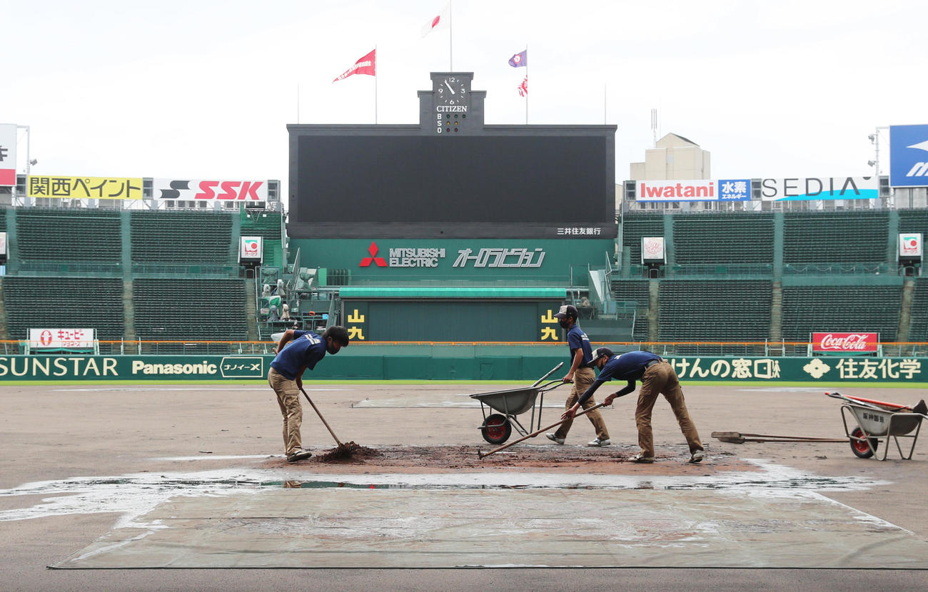 今夏の高校野球で“神整備”を見せた阪神園芸＝2021年8月18日