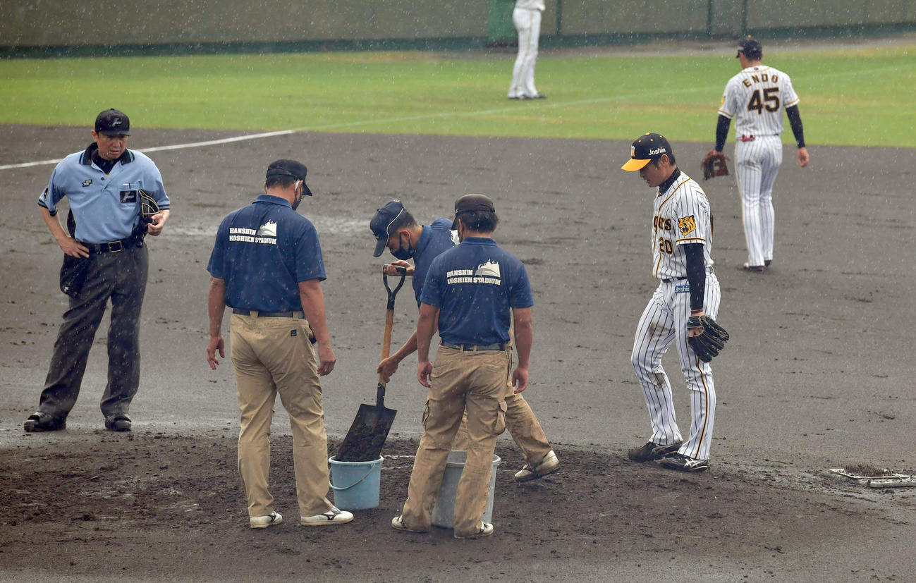 ウエスタン・リーグ阪神対広島　3回開始前、マウンドを整備する阪神園芸と整備を待つ中田(右)（代表撮影）