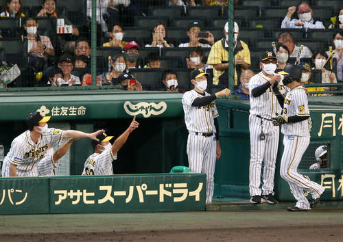 阪神対巨人　6回裏阪神無死一塁、代打糸井は右適時二塁打を放で生還の大山（右）を出迎える矢野監督（左から4人目）ら阪神ベンチ（撮影・上山淳一）