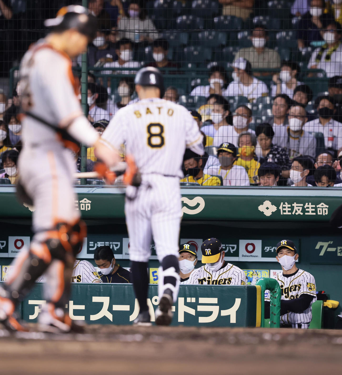 阪神対巨人　6回裏阪神無死二塁、空振り三振に倒れた代打佐藤輝（背番号8）を見つめる矢野監督（右端）（撮影・足立雅史）