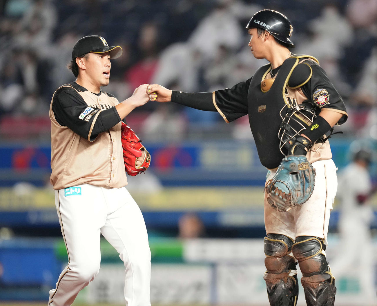 ロッテ対日本ハム　4回裏を終え、石川亮（右）とタッチを交わす日本ハム西村（撮影・鈴木みどり）