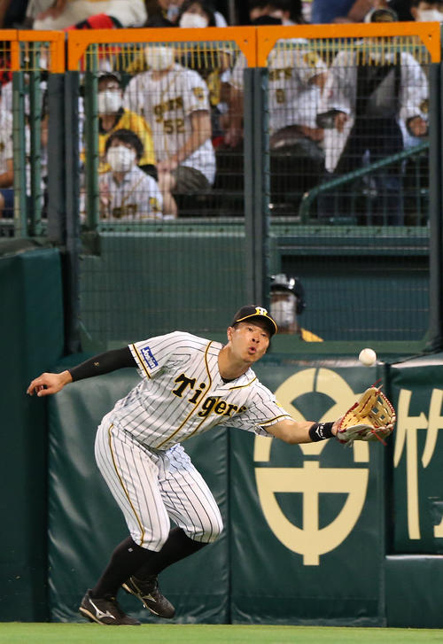 阪神対巨人　8回表巨人2死二塁、右翼手佐藤輝はウィーラーの右飛を好捕する（撮影・上山淳一）