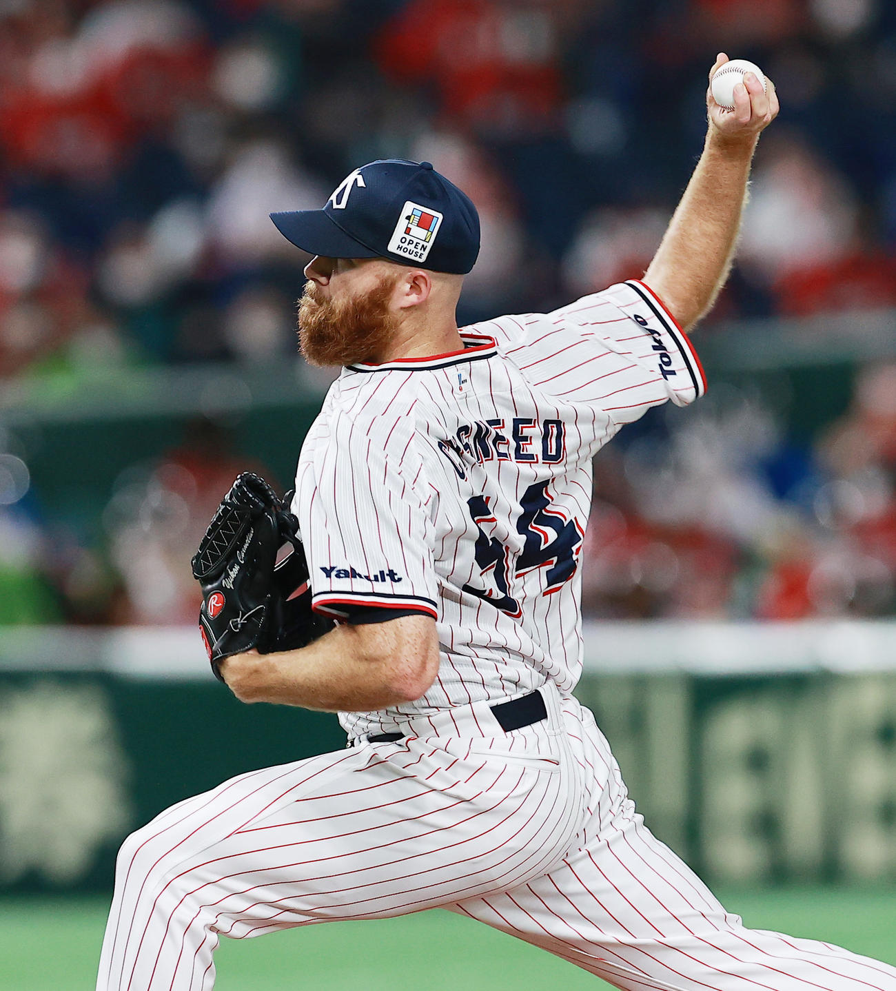 ヤクルト対広島　力投するヤクルト先発のサイスニード（撮影・野上伸悟）