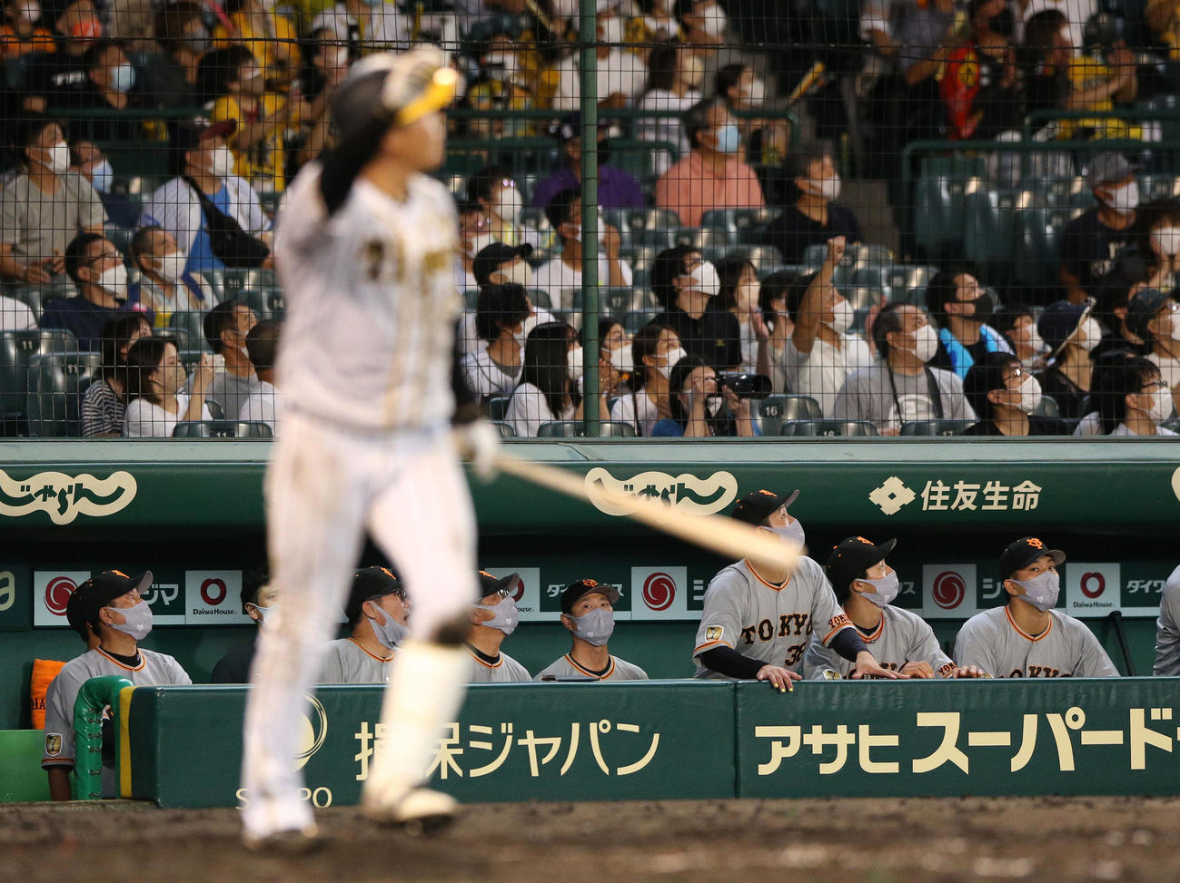 阪神対巨人　9回裏阪神無死一塁、大山のサヨナラ左越え2点本塁打の打球を見送る原監督（左）ら巨人ベンチ（撮影・上山淳一）
