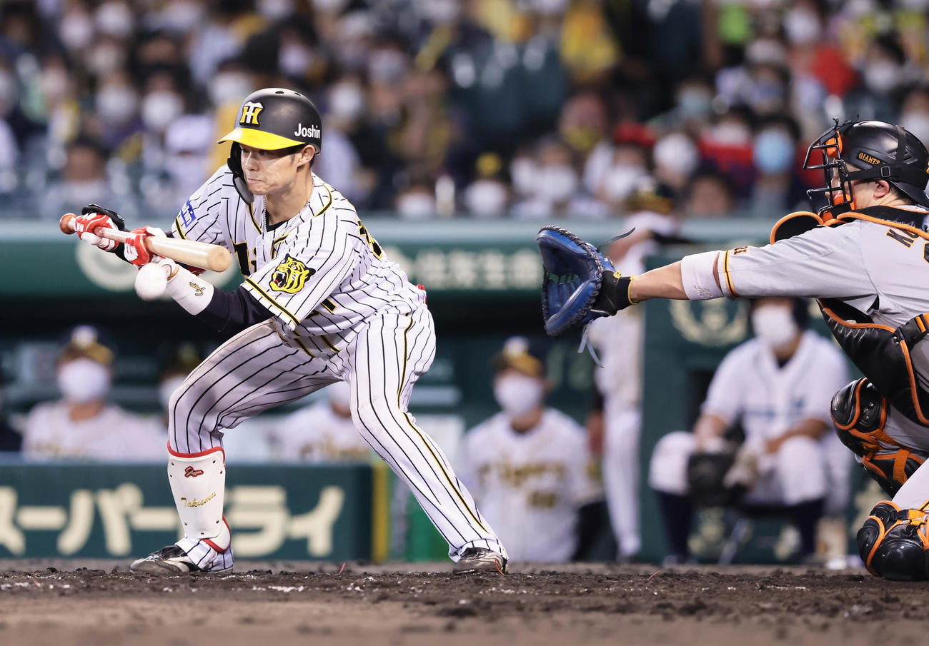 阪神対巨人　8回裏阪神無死一、二塁、送りバントを決める中野（撮影・足立雅史）