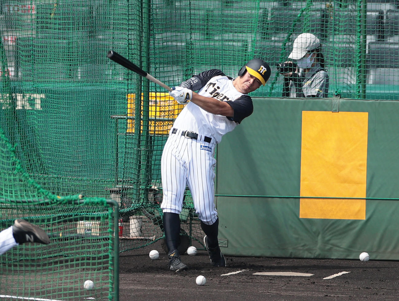 阪神対巨人　早出特打を行う阪神佐藤（撮影・前田充）