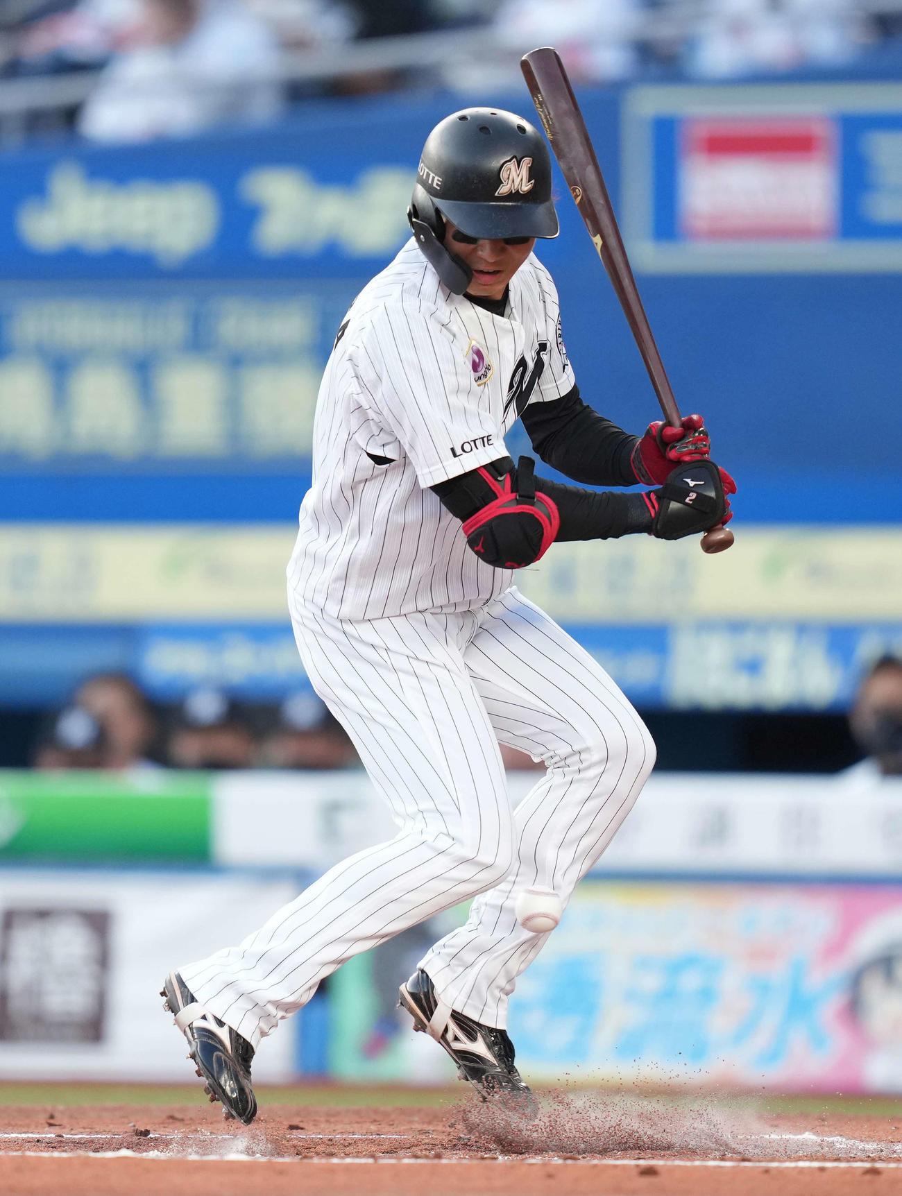 ロッテ藤原恭大 死球受け交代 井口監督 無理させると肉離れの可能性も プロ野球 日刊スポーツ