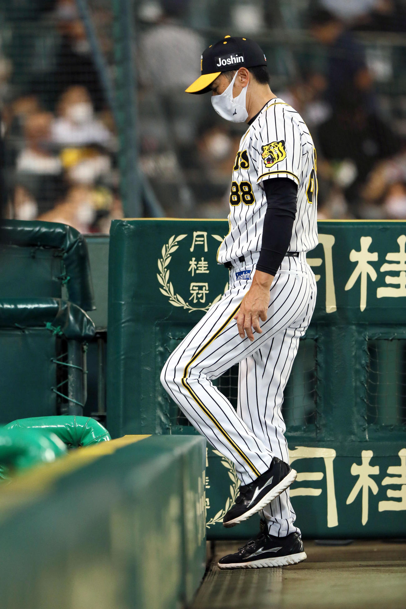 阪神対巨人　5回終了後、矢野監督は選手交代を告げベンチへ戻る（撮影・上山淳一）