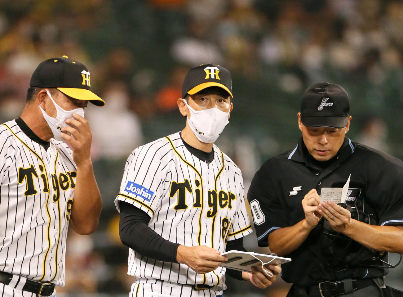 阪神対巨人　8回終了後、阪神矢野監督（中央）は主審に選手交代を告げる（撮影・上山淳一）