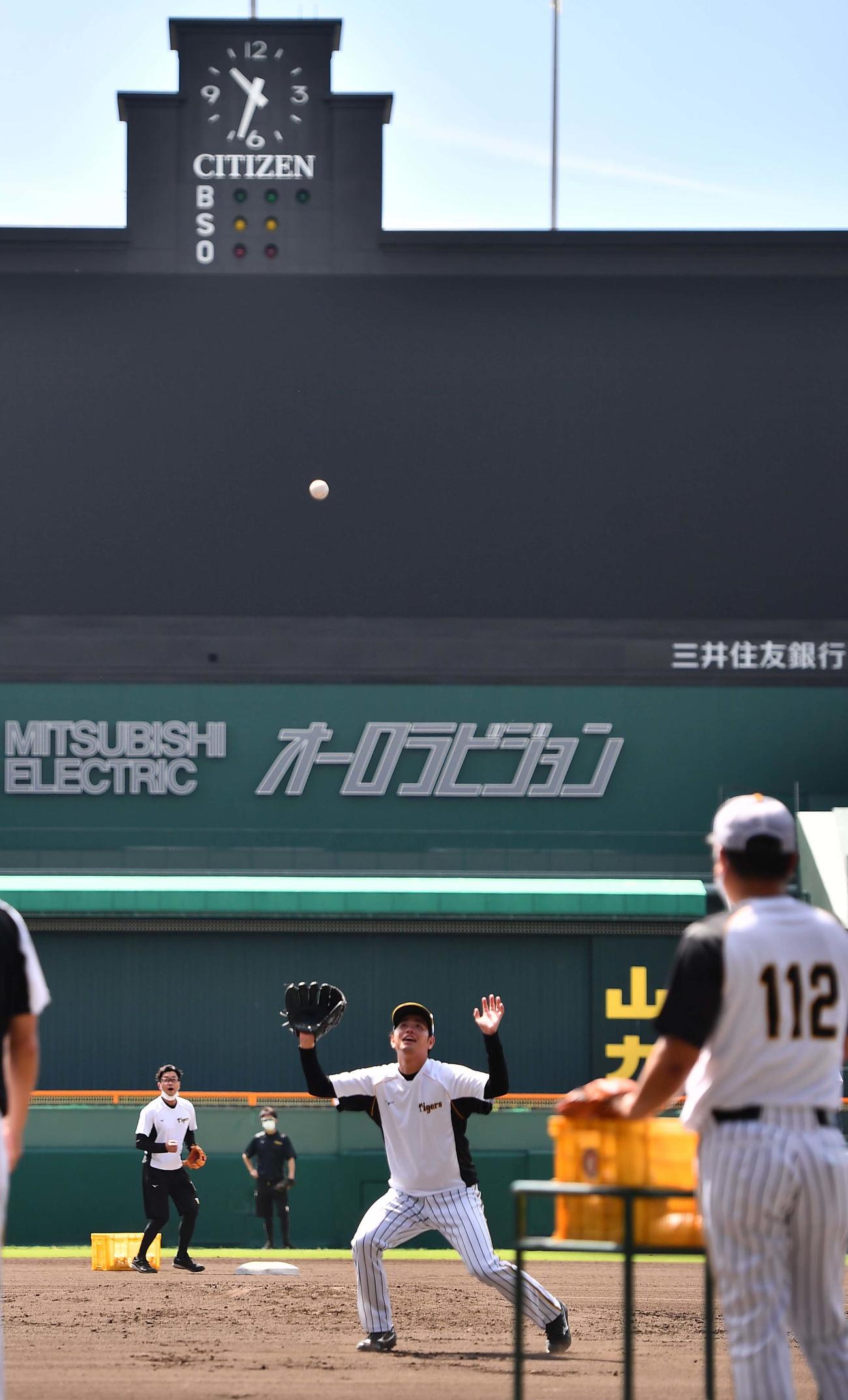 甲子園球場でノックを受ける高橋（撮影・上田博志）