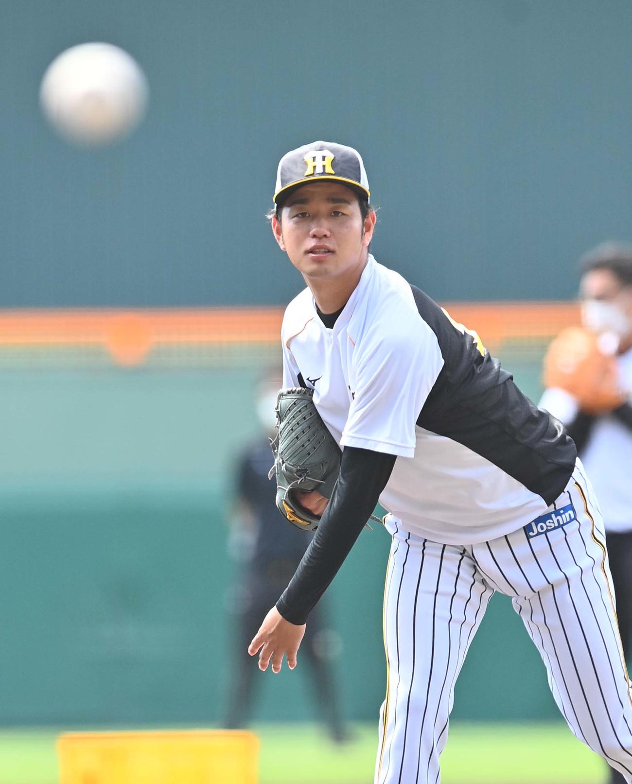 ノックを受ける阪神高橋遥人（撮影・上田博志）