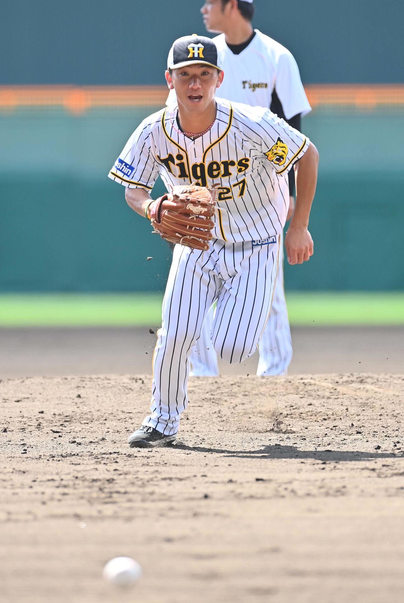 甲子園球場でノックを受ける阪神伊藤将司（撮影・上田博志）