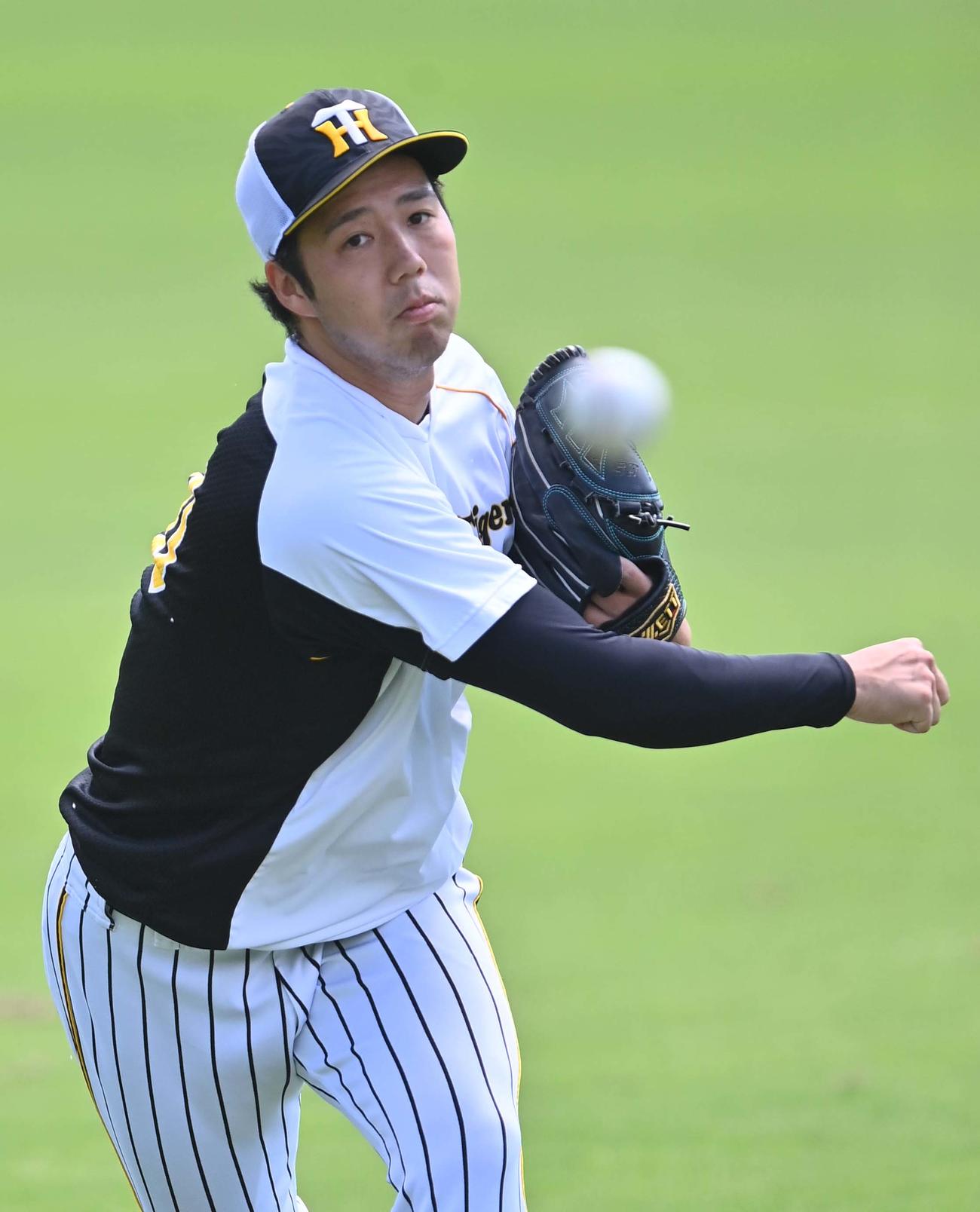キャッチボールで調整する青柳（撮影・上田博志）