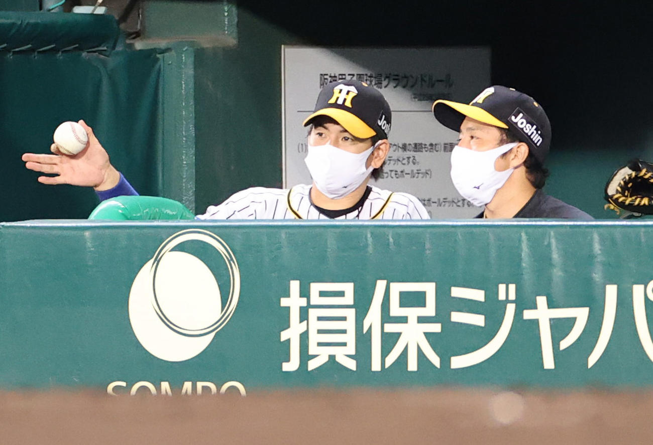 阪神対ヤクルト　8回、ベンチで話し合う阪神梅野（左）と青柳（撮影・清水貴仁）