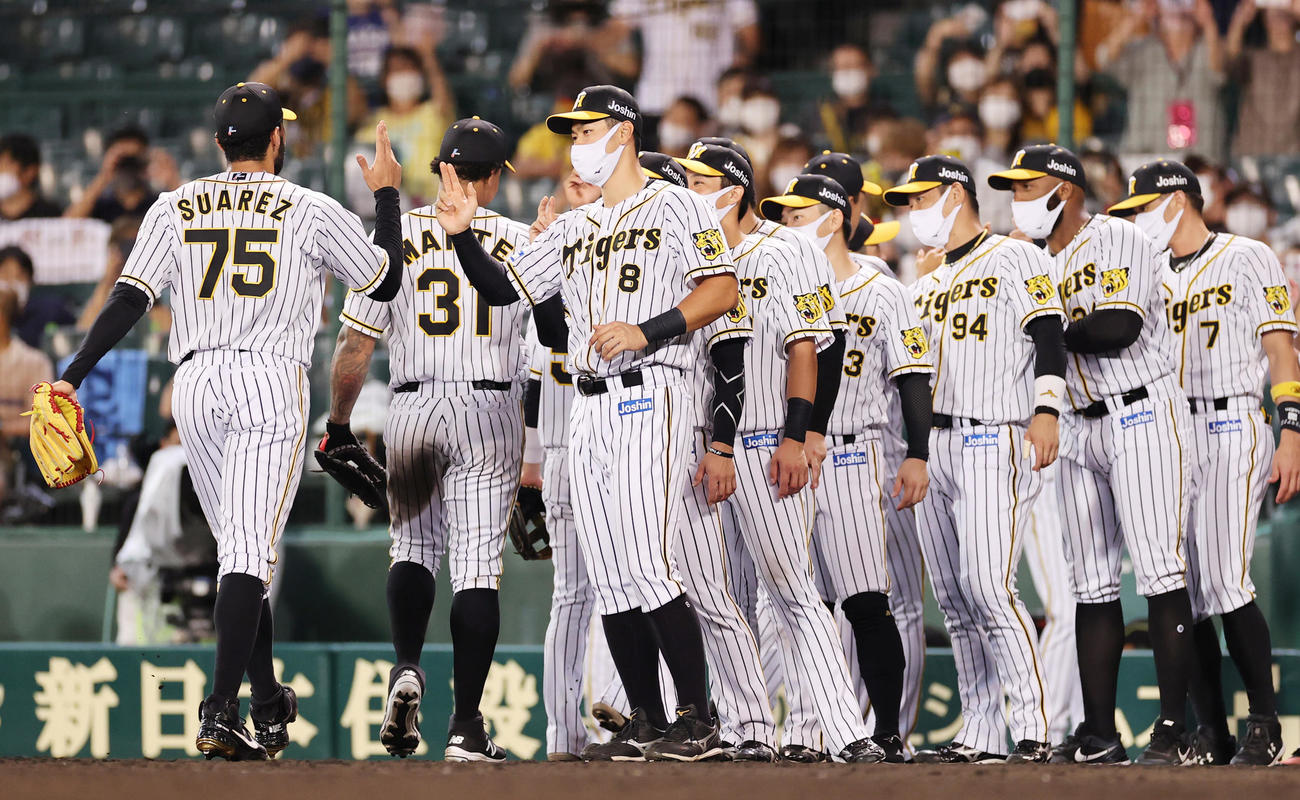 阪神対ヤクルト　ヤクルトに快勝しタッチを交わす阪神佐藤輝ら選手たち（撮影・清水貴仁）