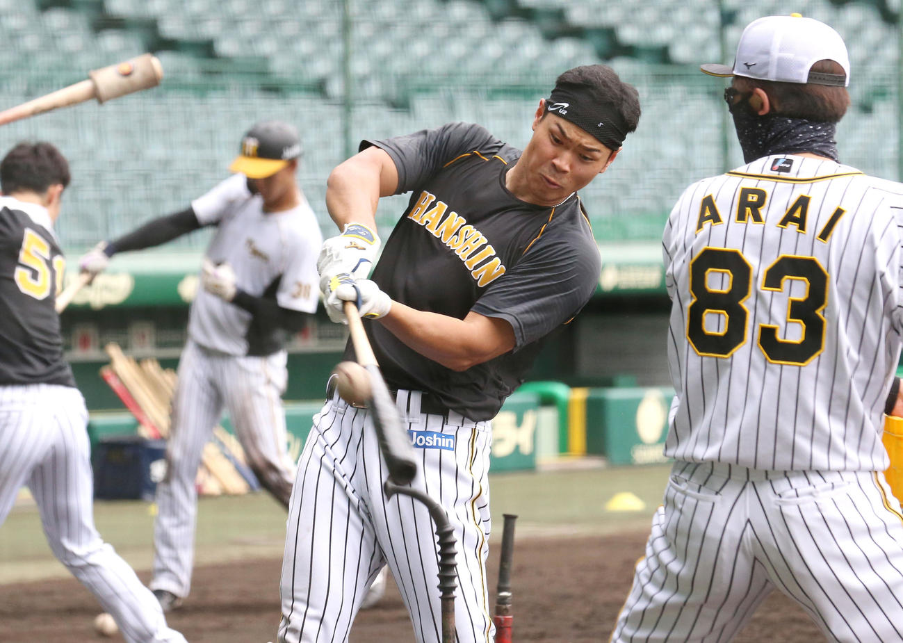阪神対ヤクルト　試合前、ティー打撃する佐藤輝（撮影・上山淳一）