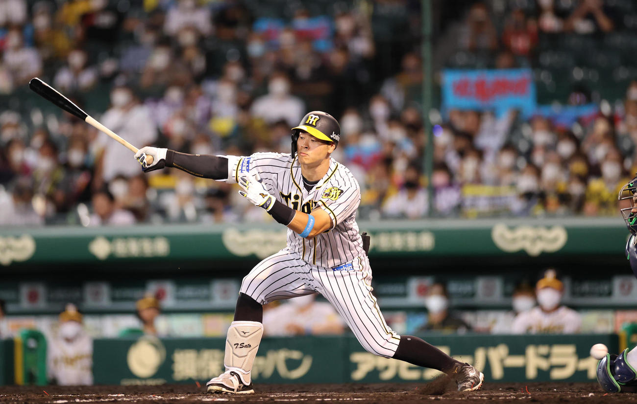 阪神対ヤクルト　6回裏阪神2死一塁、空振り三振に倒れる佐藤輝（撮影・清水貴仁）