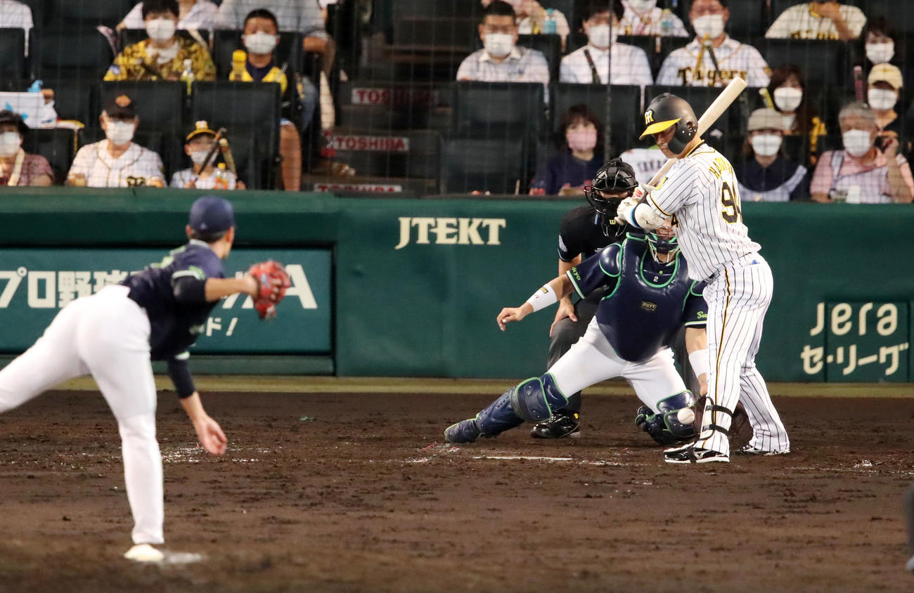 阪神対ヤクルト　4回裏阪神2死一塁、代打原口は死球で出塁。投手は高橋（撮影・加藤哉）