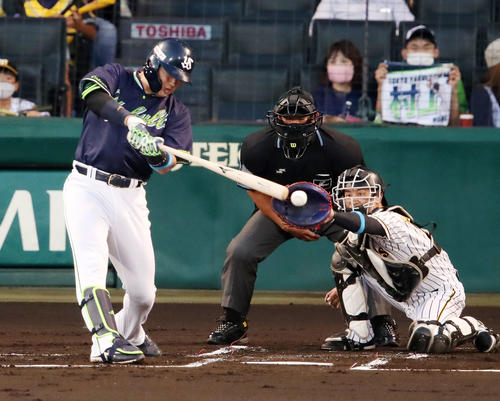 阪神対ヤクルト　1回表ヤクルト無死満塁、村上は左前適時打を放つ（撮影・加藤哉）