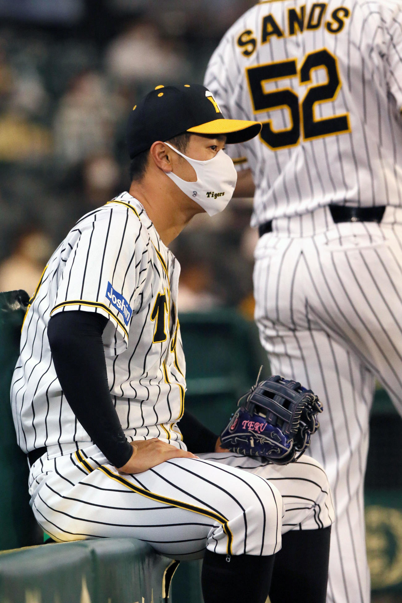 阪神対ヤクルト　3回を終え、ベンチからグラウンドを見る佐藤輝（撮影・上山淳一）