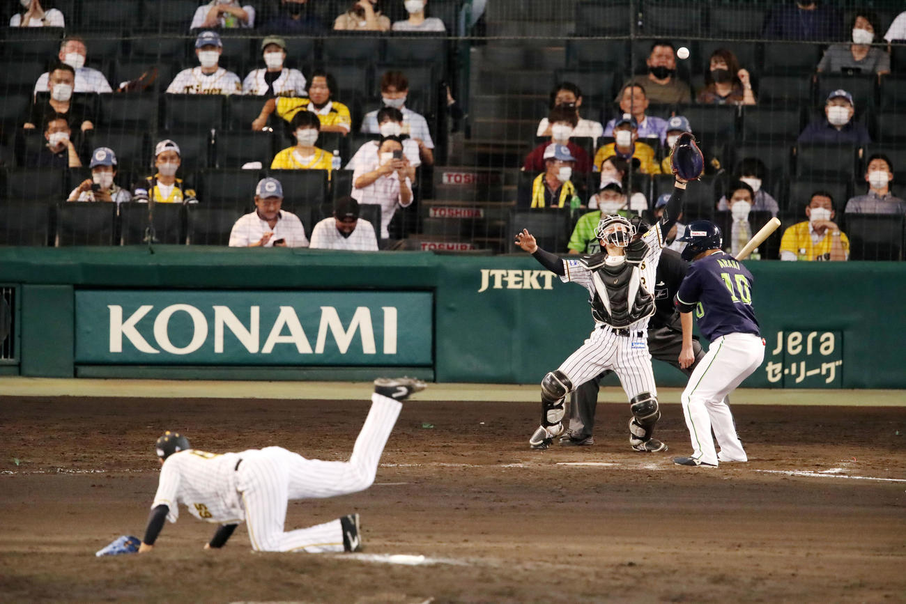 阪神対ヤクルト　9回表ヤクルト1死一、二塁、打者荒木のとき湯浅がバランスを崩しマウンドで転倒、暴投となる（2021年9月7日撮影）