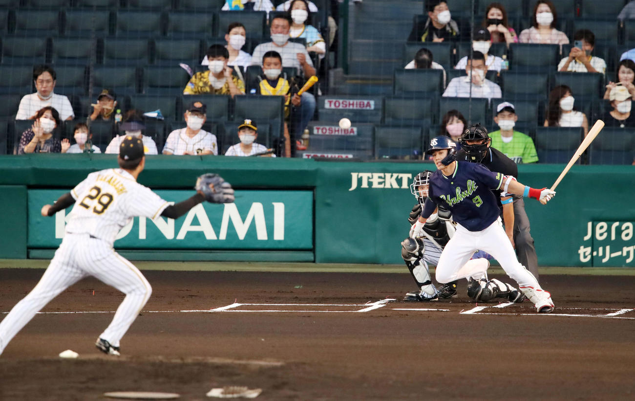 阪神対ヤクルト　1回表ヤクルト無死、塩見は遊へ内野安打を放つ。投手は高橋（撮影・加藤哉）