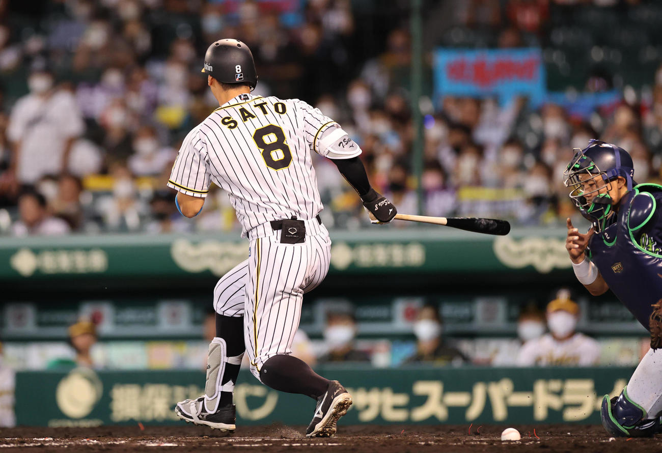 阪神対ヤクルト　6回裏阪神2死一塁、空振り三振に倒れる佐藤輝（撮影・清水貴仁）