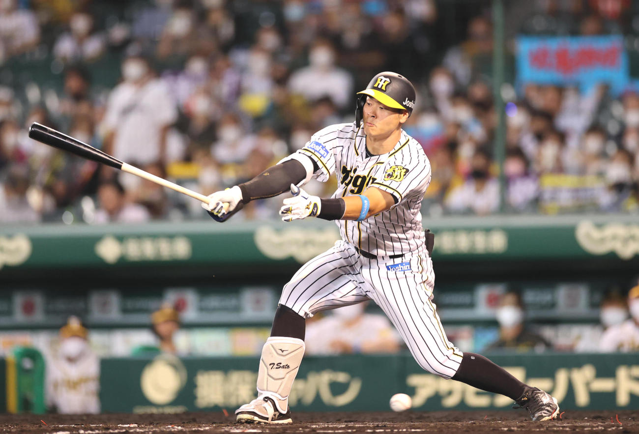 阪神佐藤輝明（2021年9月9日撮影）