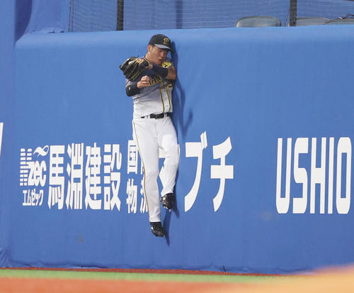 DeNA対阪神 2回裏DeNA1死、小野寺は大和の右邪飛をフェンスにぶつかりながら好捕する(撮影・清水貴仁)