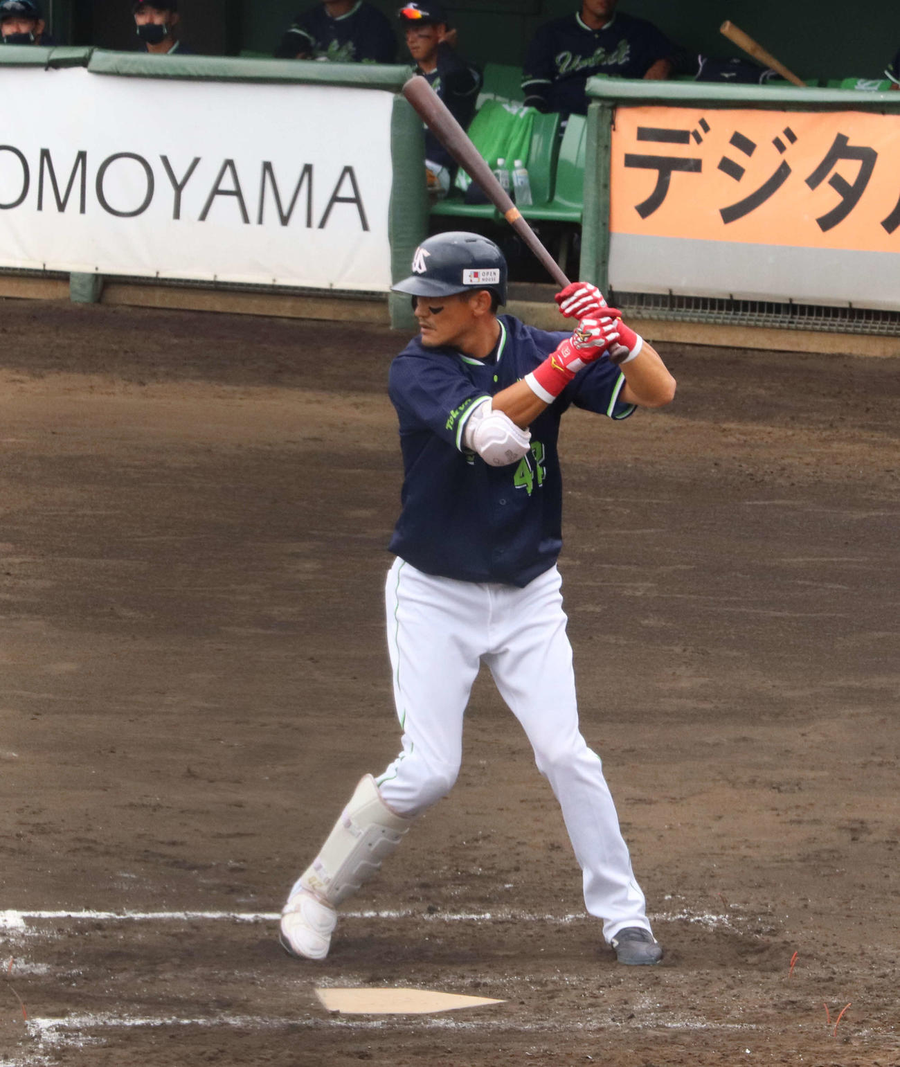 ヤクルト坂口智隆（21年6月撮影）
