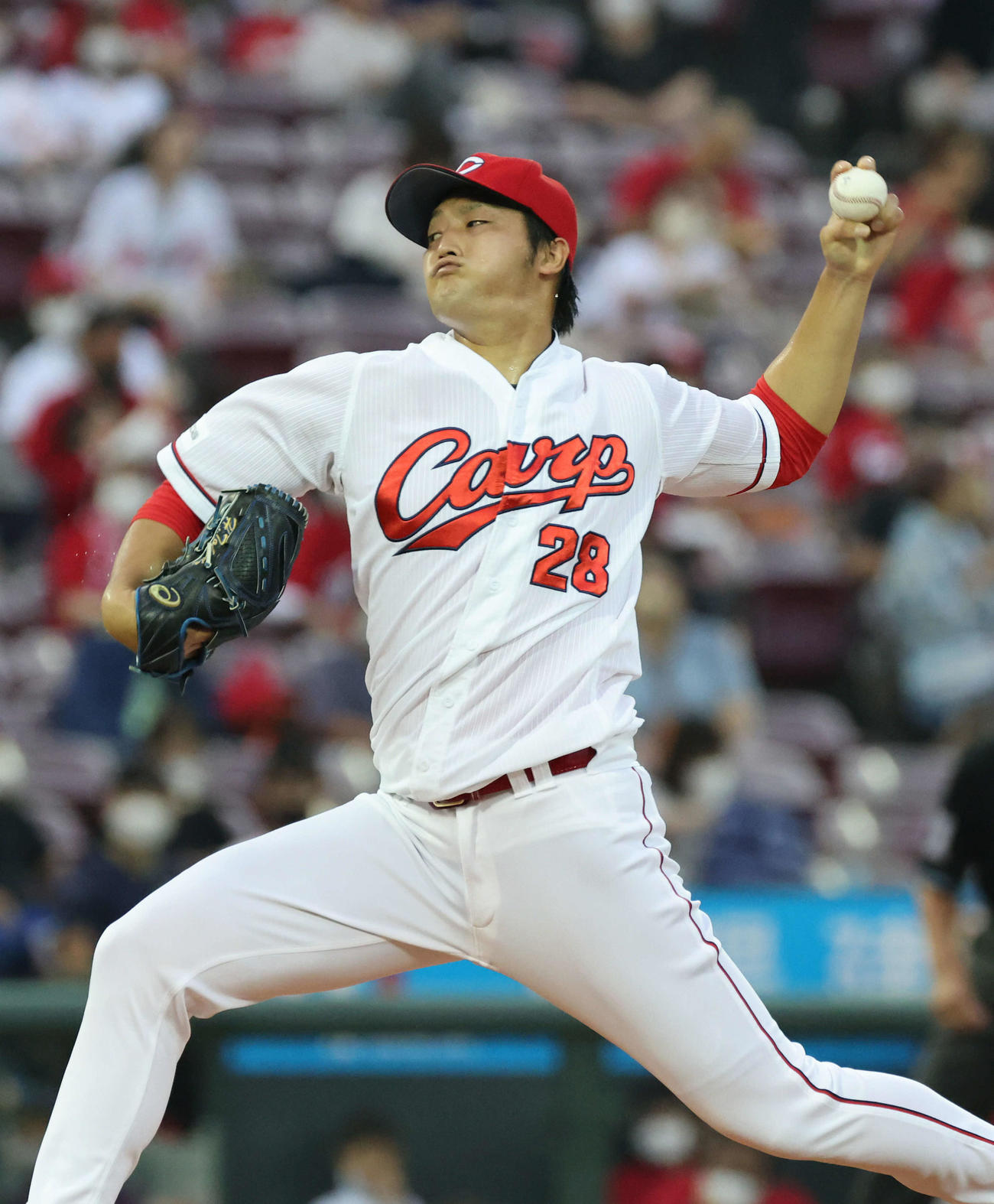 広島対巨人　広島先発の床田（撮影・加藤孝規）