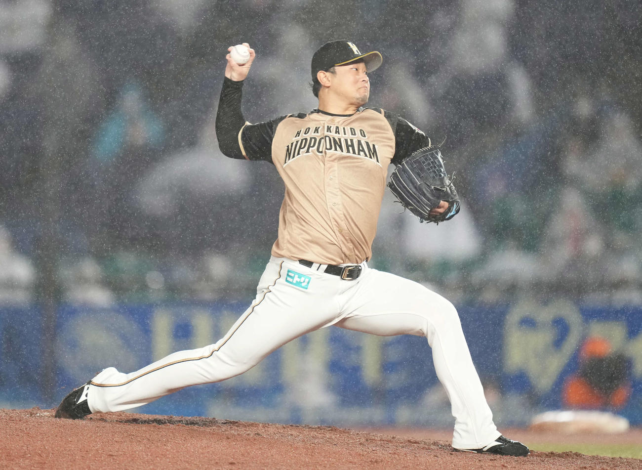 力投する日本ハム池田隆英（2021年9月3日撮影）
