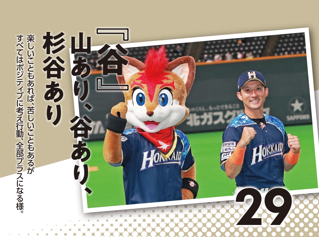 日本ハム杉谷拳士の日めくりカレンダー29日（球団提供）