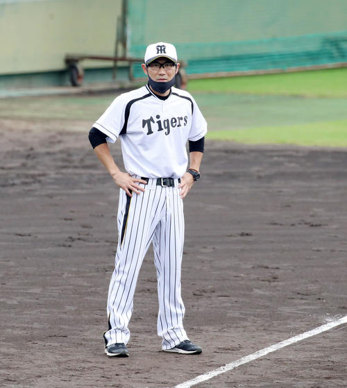 阪神女子の三浦伊織主将 充実した練習はできている 初の日本一へ虎視眈々 プロ野球写真ニュース 日刊スポーツ