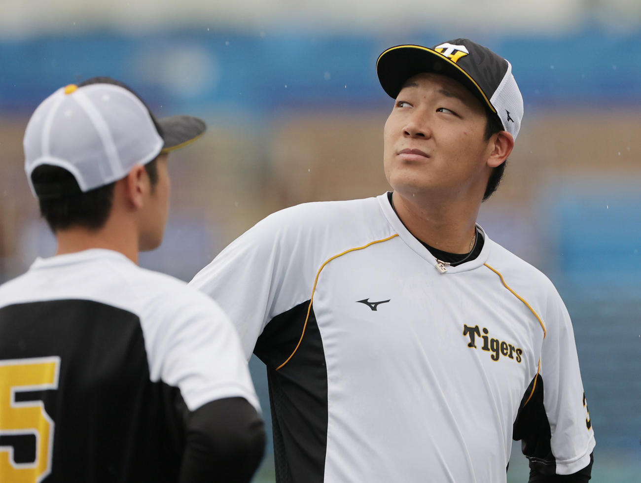 ヤクルト対阪神　試合前、雨を気にする阪神大山（撮影・清水貴仁）