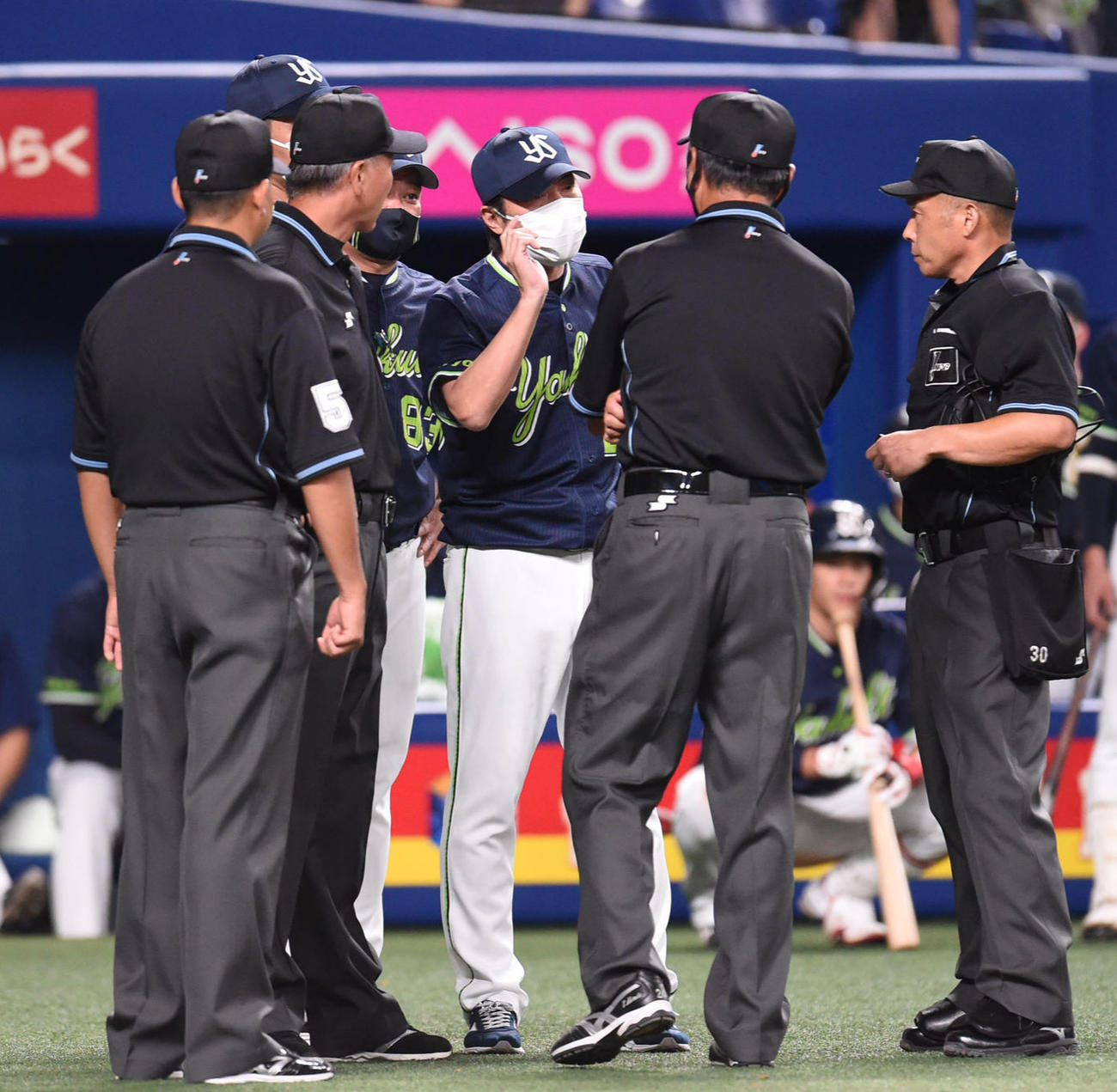 中日対ヤクルト　試合終了となった判定に猛抗議をする高津監督（中央）（撮影・森本幸一）