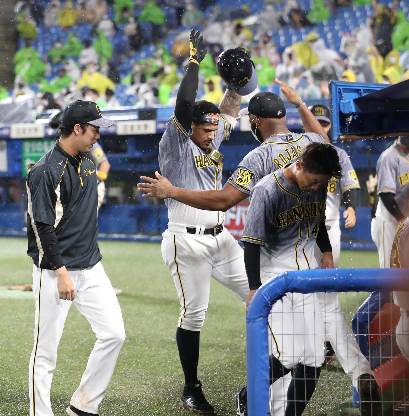 ヤクルト対阪神　9回表阪神1死一、二塁、左越え同点3点本塁打を放ち出迎えを受けるマルテ（撮影・清水貴仁）