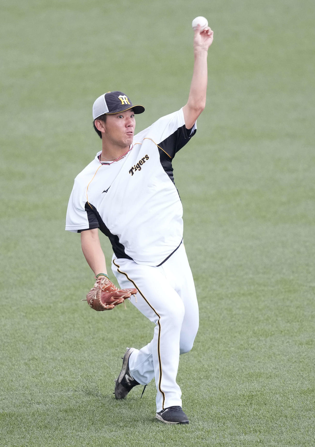 ヤクルト対阪神　試合前練習でキャッチボールする阪神伊藤将（撮影・鈴木みどり）