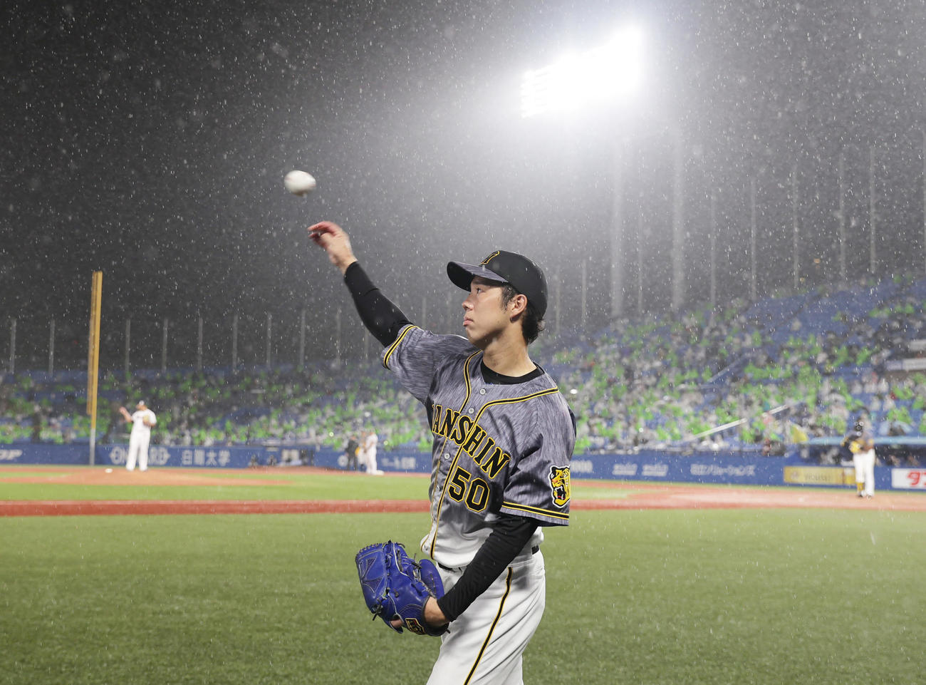 ヤクルト対阪神　4回ベンチ前でキャッチボールを行う阪神青柳（撮影・清水貴仁）