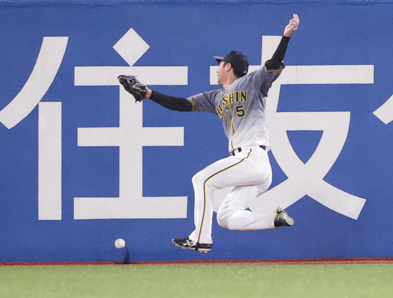 ヤクルト対阪神　8回裏阪神2死一塁、オスナの打球を追った近本は届かず、フェンスに衝突する（撮影・清水貴仁）