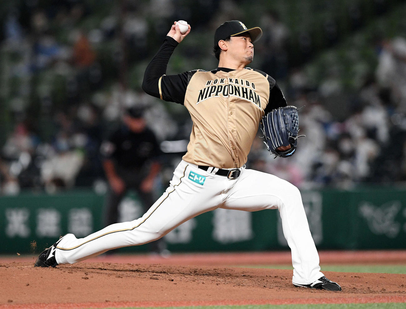 西武対日本ハム　日本ハム先発の池田（撮影・滝沢徹郎）