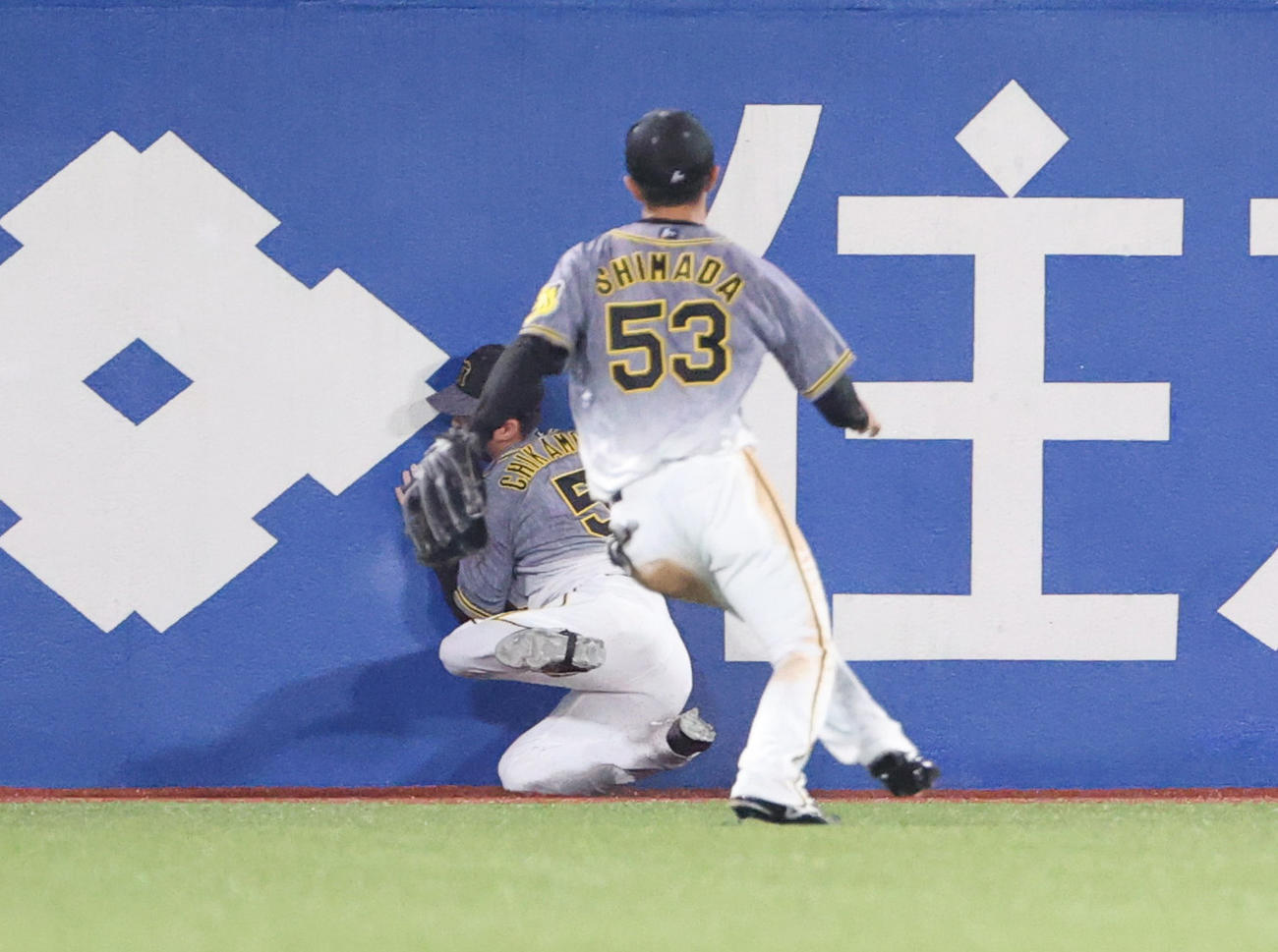 ヤクルト対阪神　8回裏阪神2死一塁、オスナの打球を追った近本は届かず、フェンスに衝突する（撮影・清水貴仁）