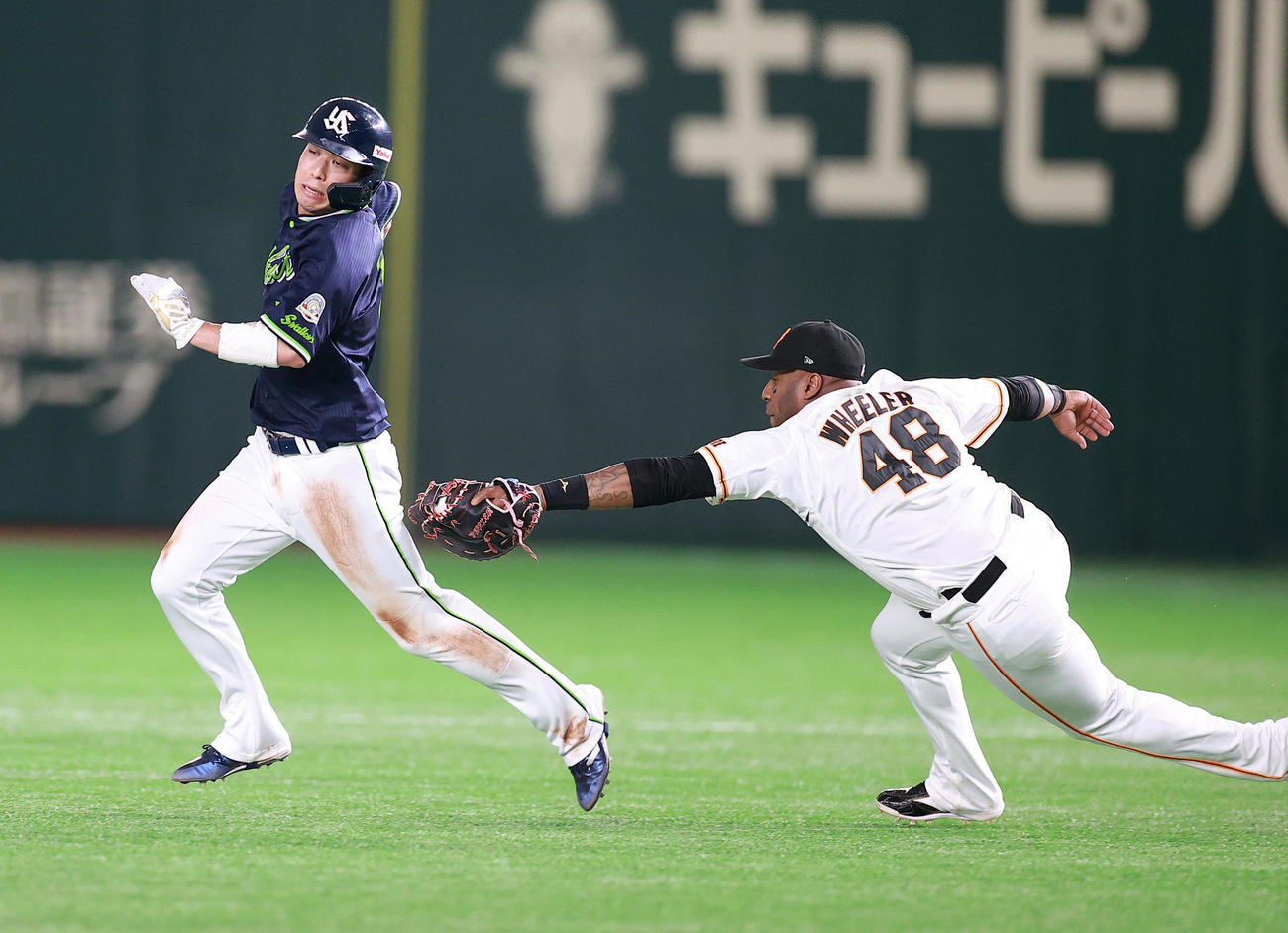 巨人対ヤクルト　7回表ヤクルト2死一塁、打者中村の時、飛び出して一二塁間に挟まれた一走山田（左）へ飛びついてタッチアウトにする一塁手ウィーラー（撮影・浅見桂子）