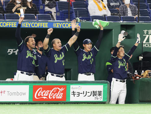 巨人対ヤクルト　8回表ヤクルト1死満塁、塩見の満塁本塁打をバンザイで喜ぶ奥川（中央右）ら（撮影・足立雅史）