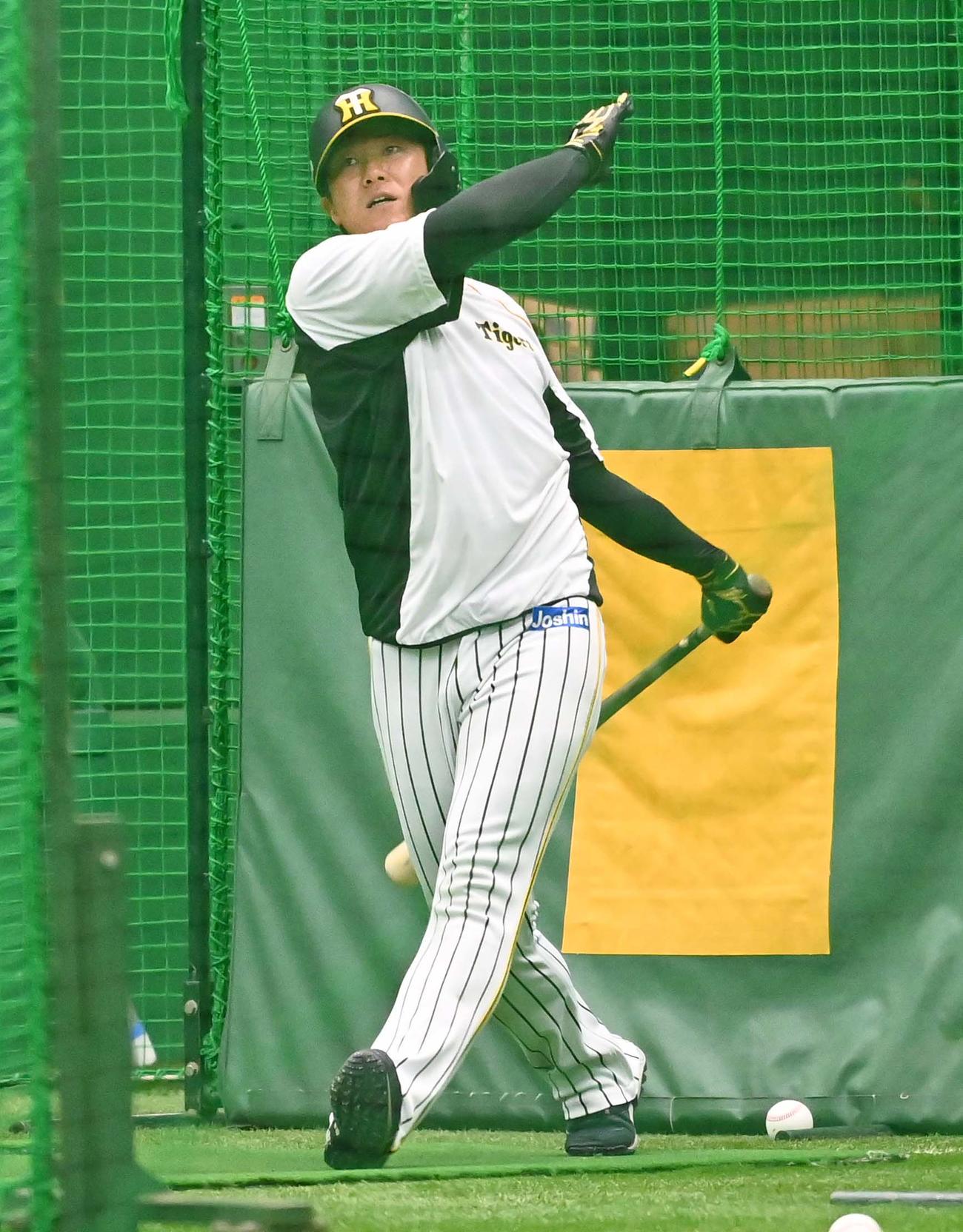 1軍に合流しフリー打撃練習で汗を流す陽川（撮影・上田博志）