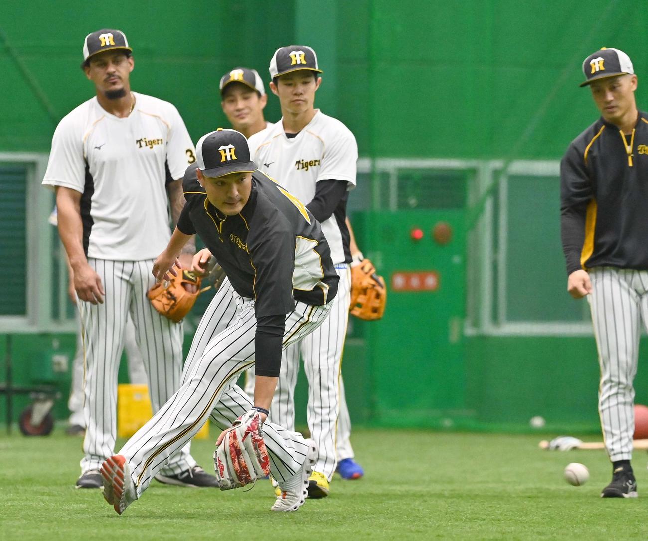 内野手とノックを受ける秋山（撮影・上田博志）