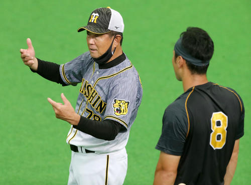 阪神２軍 試合なくても優勝マジック２つ減り ６ 最短ｖ決定日は22日 プロ野球 日刊スポーツ