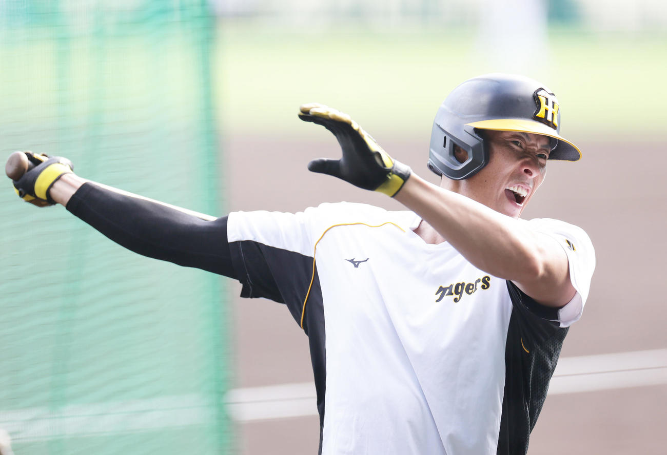 阪神対巨人　打撃練習を行う阪神糸井（撮影・清水貴仁）