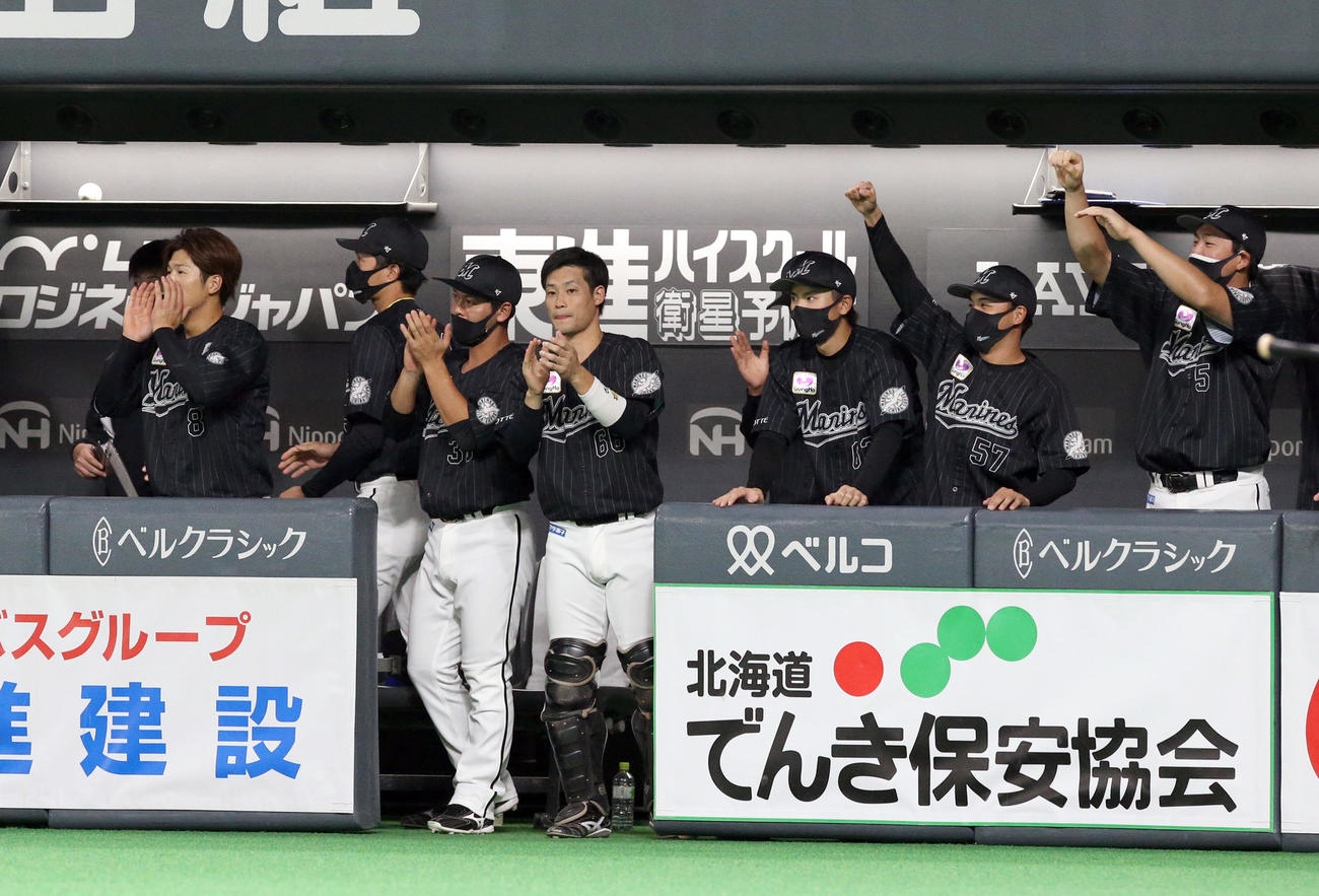 日本ハム対ロッテ　4回表ロッテ2死一、二塁、山口の中前適時打で盛り上がるロッテベンチ（撮影・佐藤翔太）